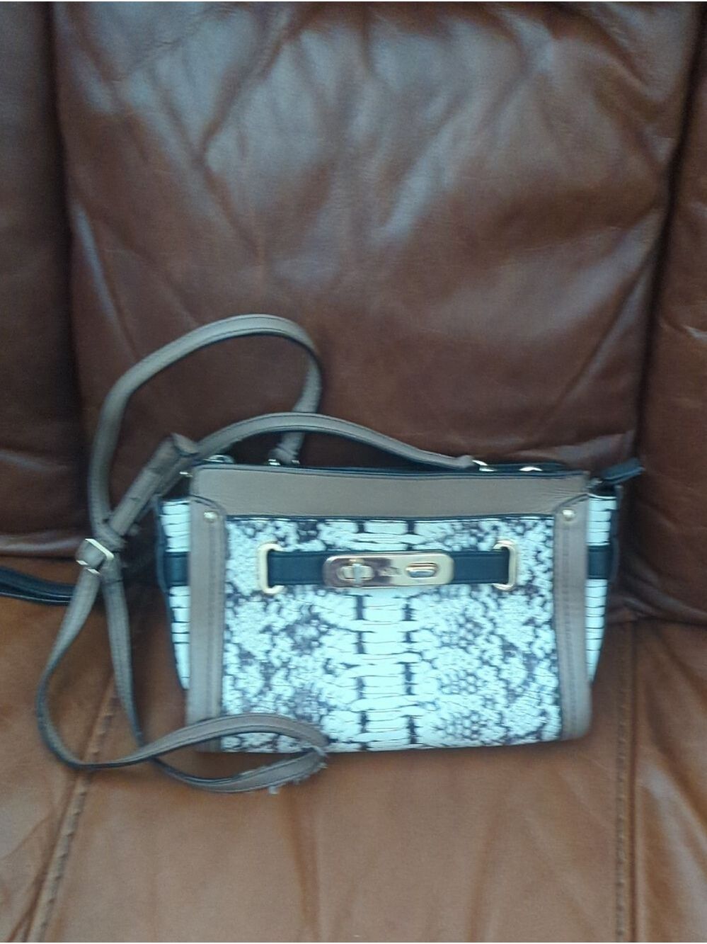 Coach Mini Swagger Crossbody - Picture 4 of 11